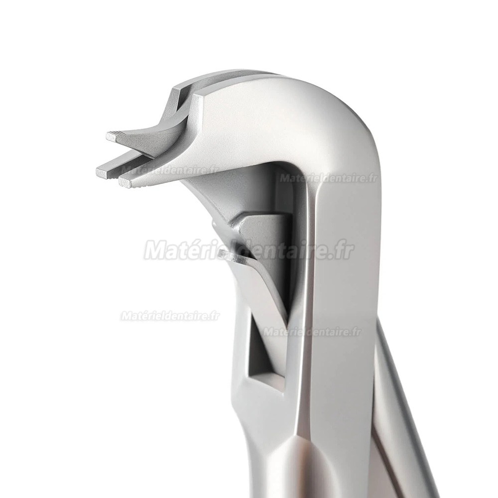 Écarteur de couronne dentaire, extracteur de couronne dentaire en croix